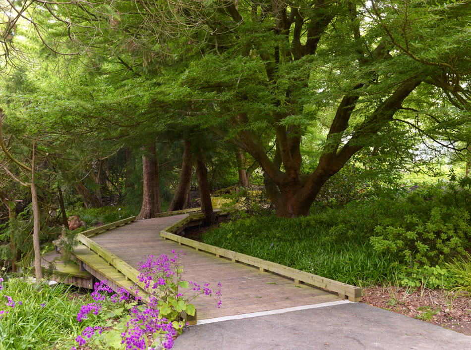 Interstice Architects Sf Botanical Gardens Pathways