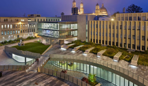 USF Center for Science & Innovation Landscape