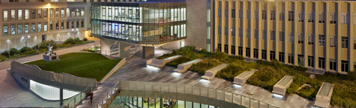 USF Center for Science & Innovation Landscape