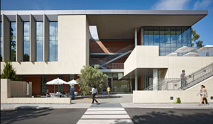 Stanford Freidenrich Center for Translational Research Landscape