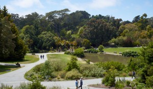 SF Botanical Gardens Pathways