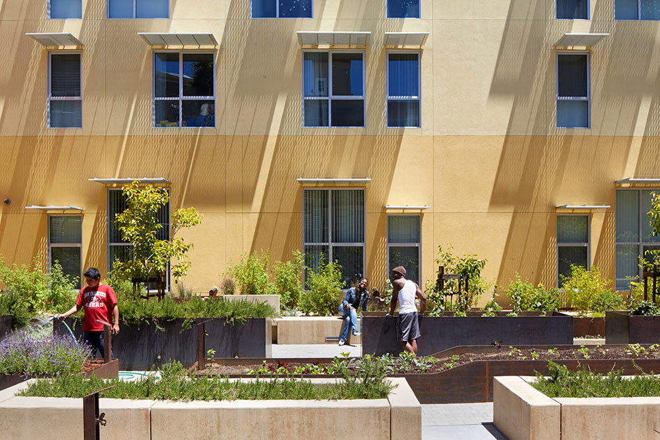 Edible Garden