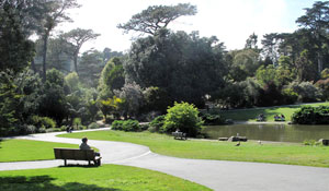 SF Botanical Gardens Pathways