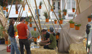 PARK(ing) DAY 2008: Hanging Native Garden