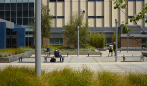 Kaiser Oakland Medical Office Building Landscape, Phase 2