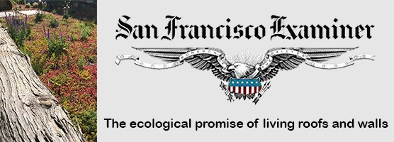 MIRA SF – Transbay Block 1 published in “San Francisco Examiner”
