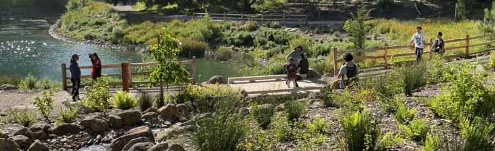 Middle Lake Rehabilitation, Golden Gate Park