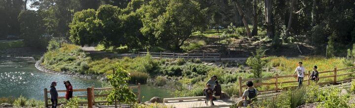 Middle Lake Rehabilitation, Golden Gate Park